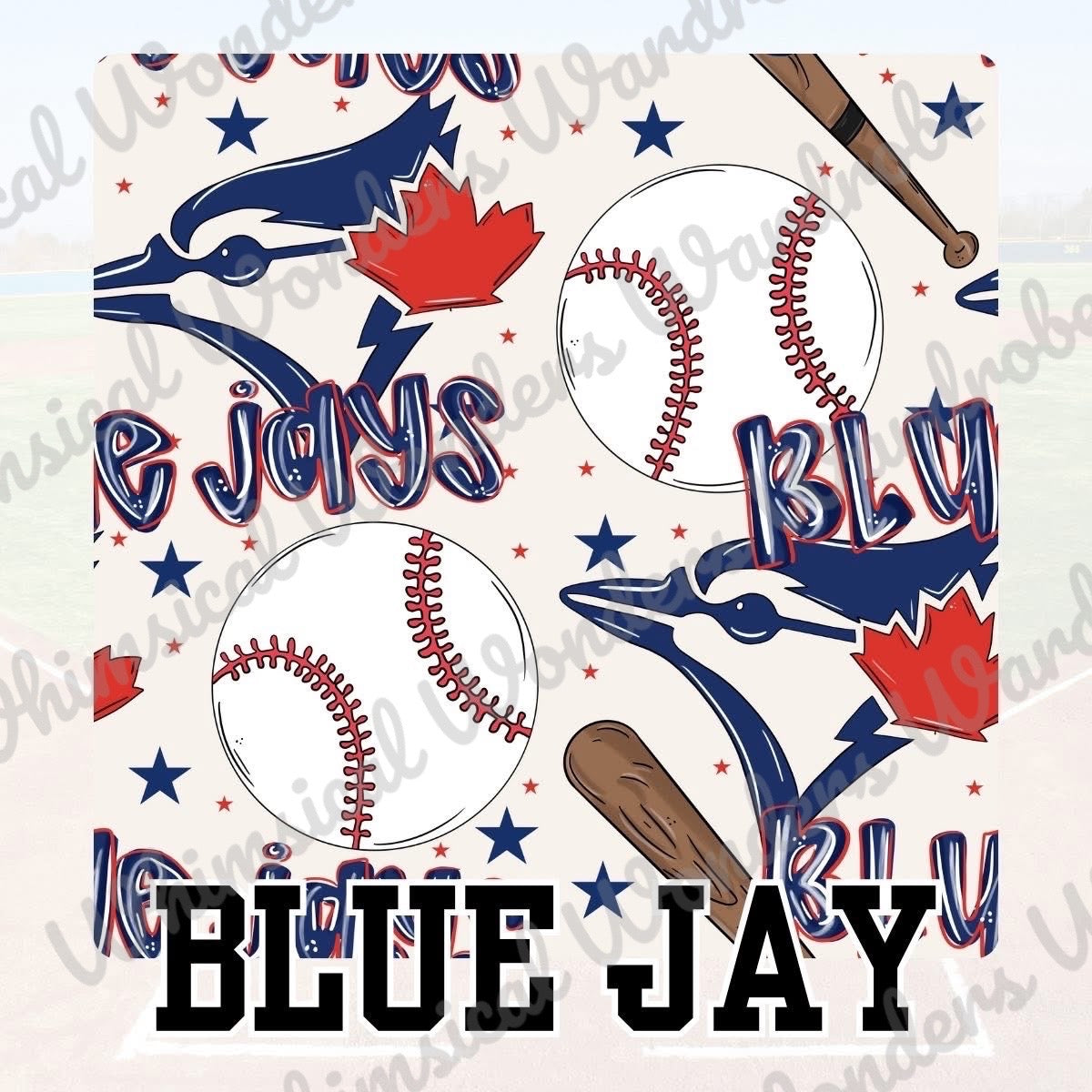 Homerun! Blue Jays