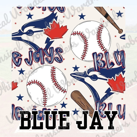 Homerun! Blue Jays